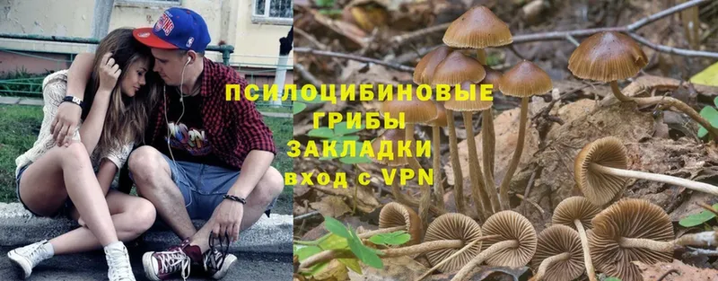 Галлюциногенные грибы Magic Shrooms  даркнет сайт  Павлово 